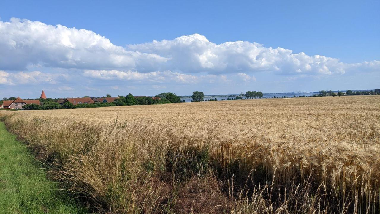 Ferien Auf Der Insel Poel Daire Kirchdorf  Dış mekan fotoğraf